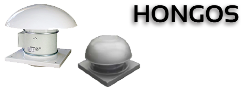 hongos